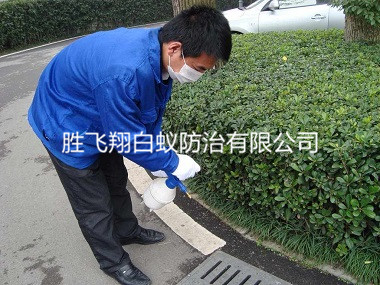 万江小区杀虫灭蚊消杀