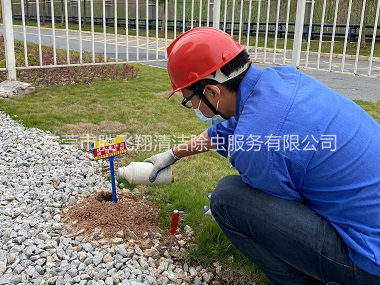 洪梅红火蚁防治工程