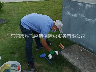 虎门灭除红火蚁工程 吧